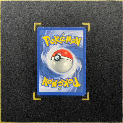 Phanpy - Neo Genesis (N1)