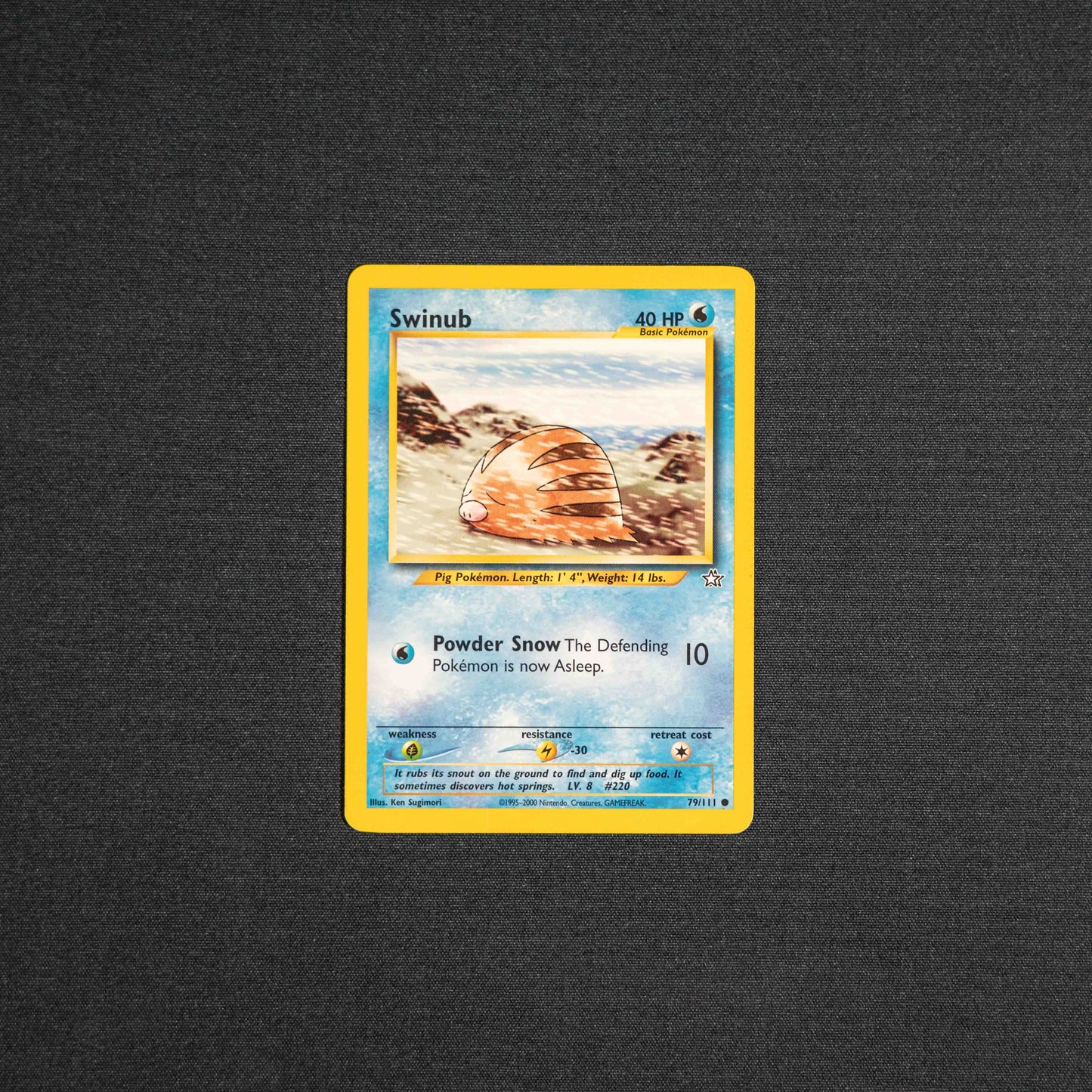 Swinub - Neo Genesis (N1)