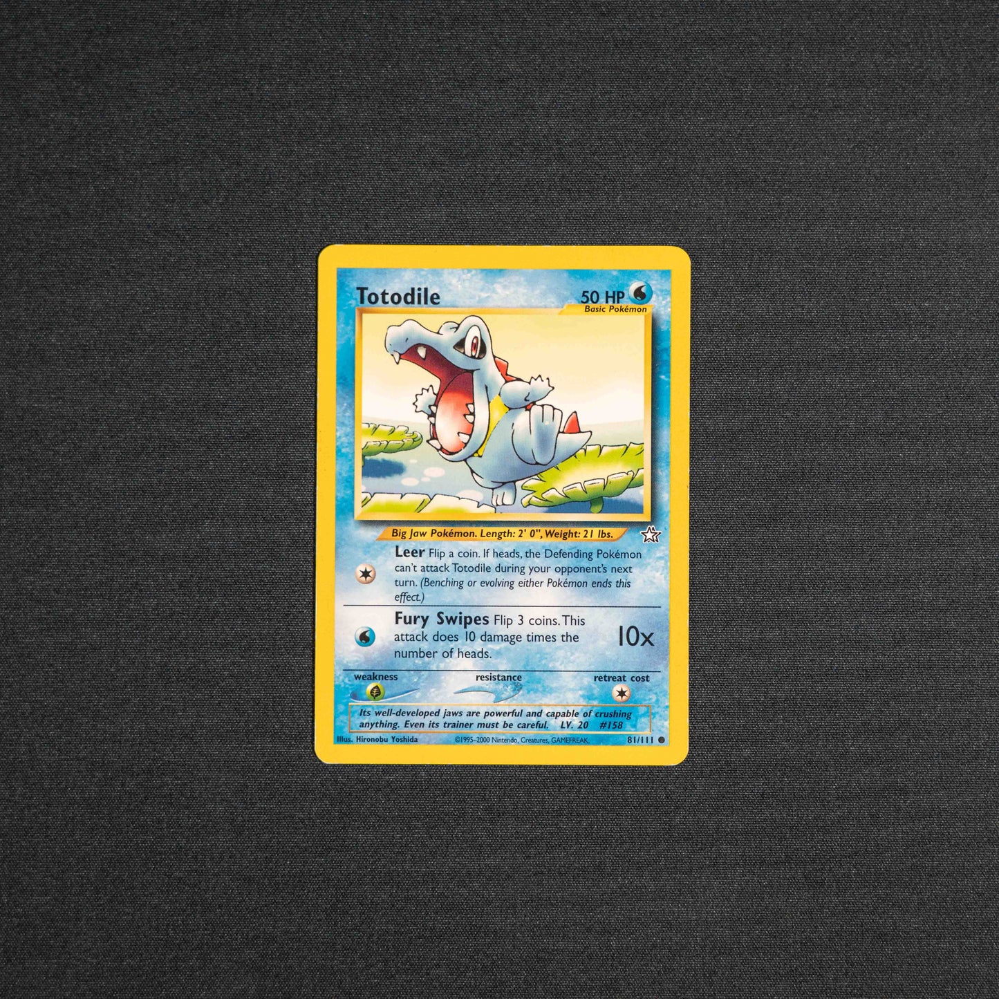 Totodile (81) - Neo Genesis (N1)