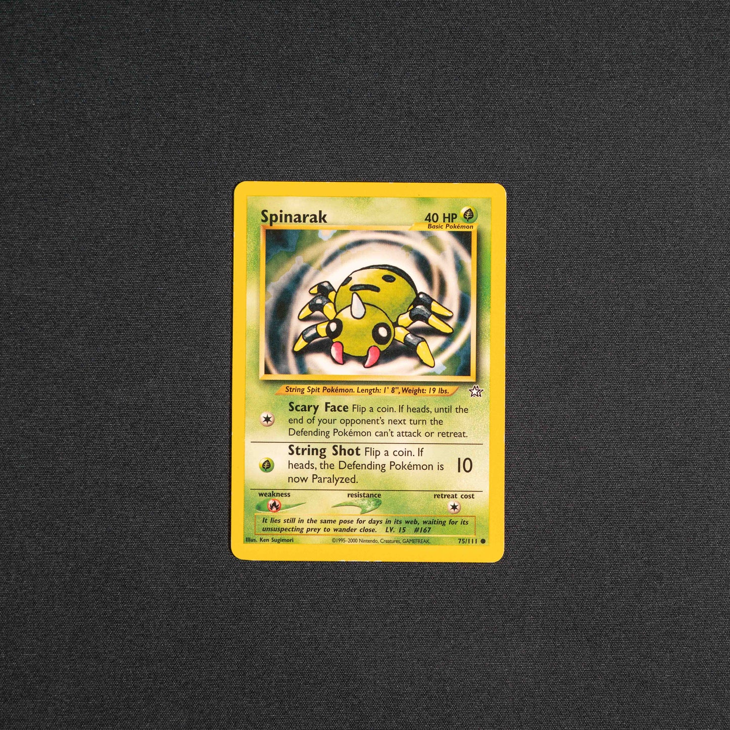 Spinarak - Neo Genesis (N1)