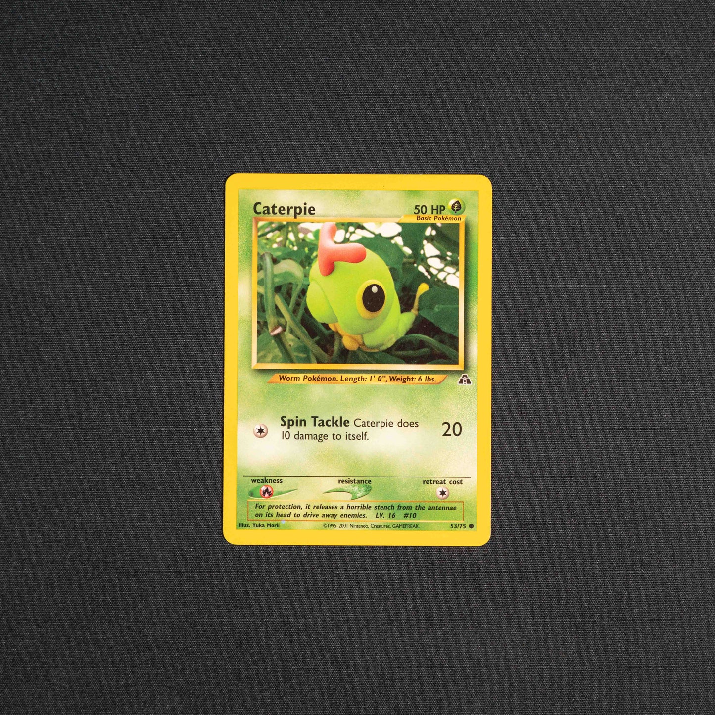 Caterpie - Neo Discovery (N2)