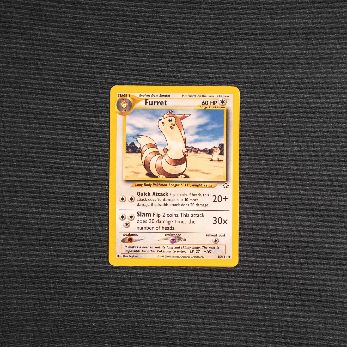 Furret - Neo Genesis (N1)