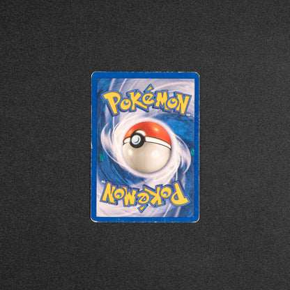 Brock's Graveler - Gym Heroes (G1)