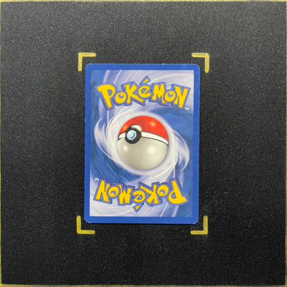 Swinub - Neo Revelation (N3)