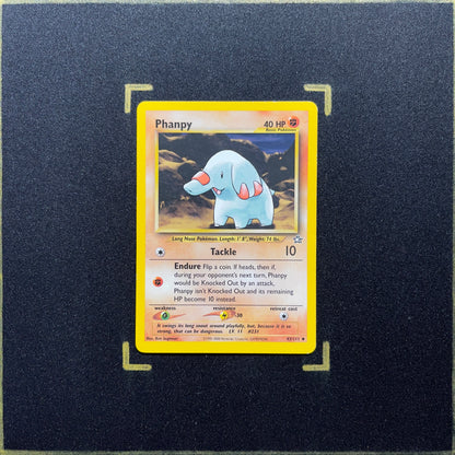 Phanpy - Neo Genesis (N1)