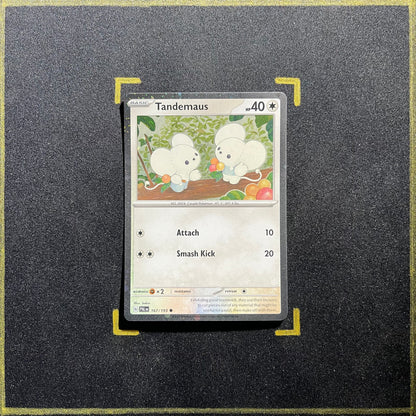 Tandemaus - 167/193 - SV02: Paldea Evolved (PAL)