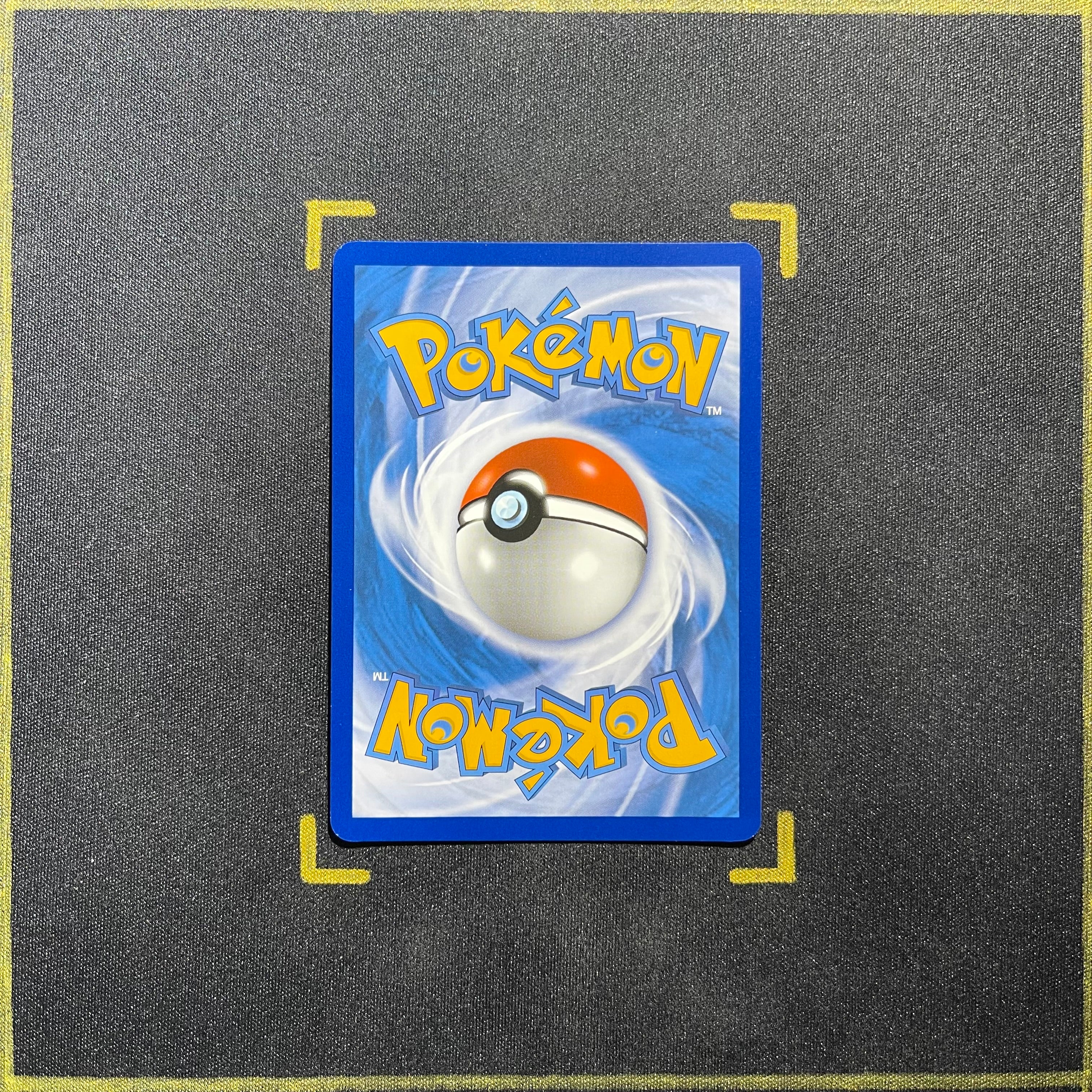 Squawkabilly ex - 247/193 - SV02: Paldea Evolved (PAL) – Gold