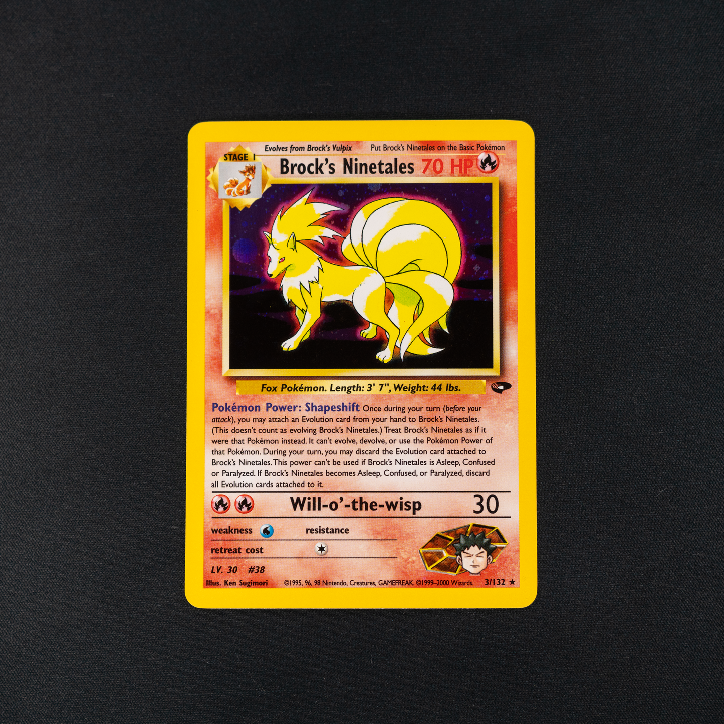 Brock's Ninetales - Gym Challenge (G2)