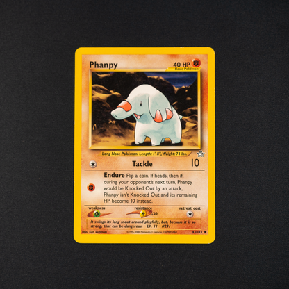 Phanpy - Neo Genesis (N1)