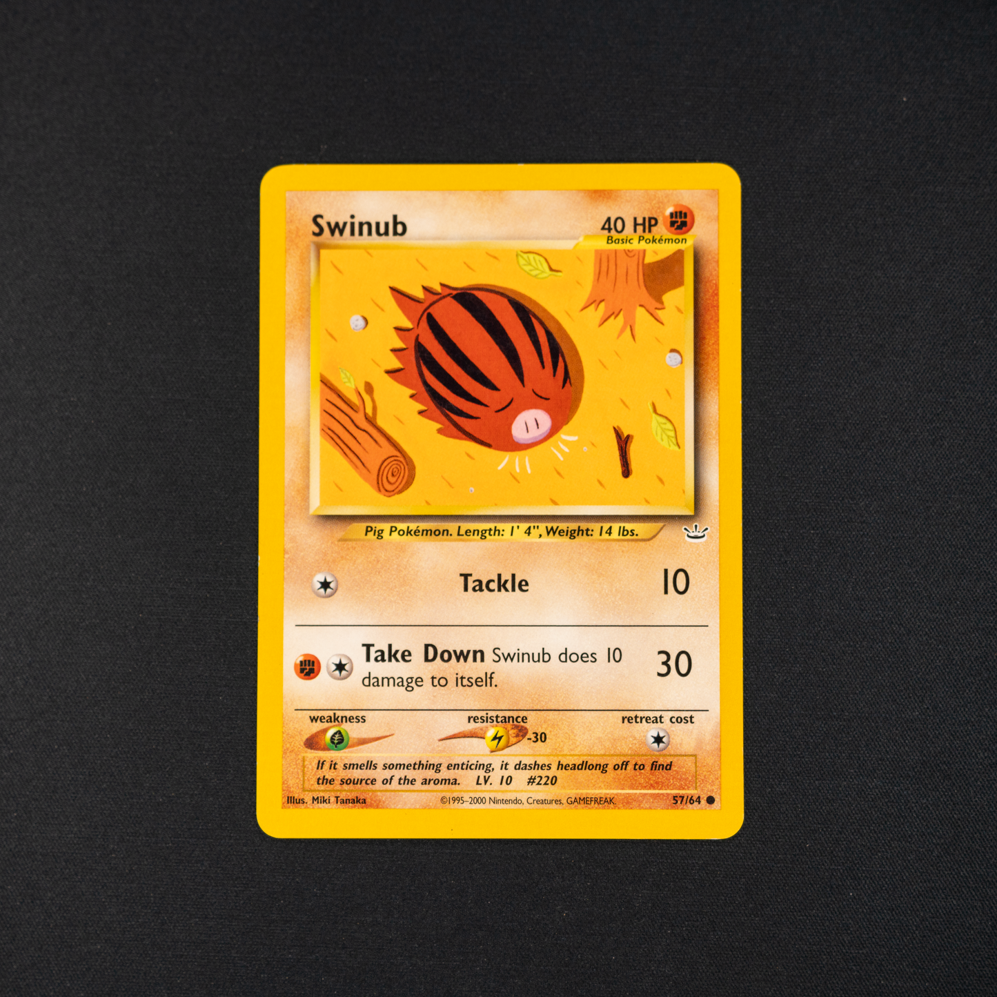 Swinub - Neo Revelation (N3)