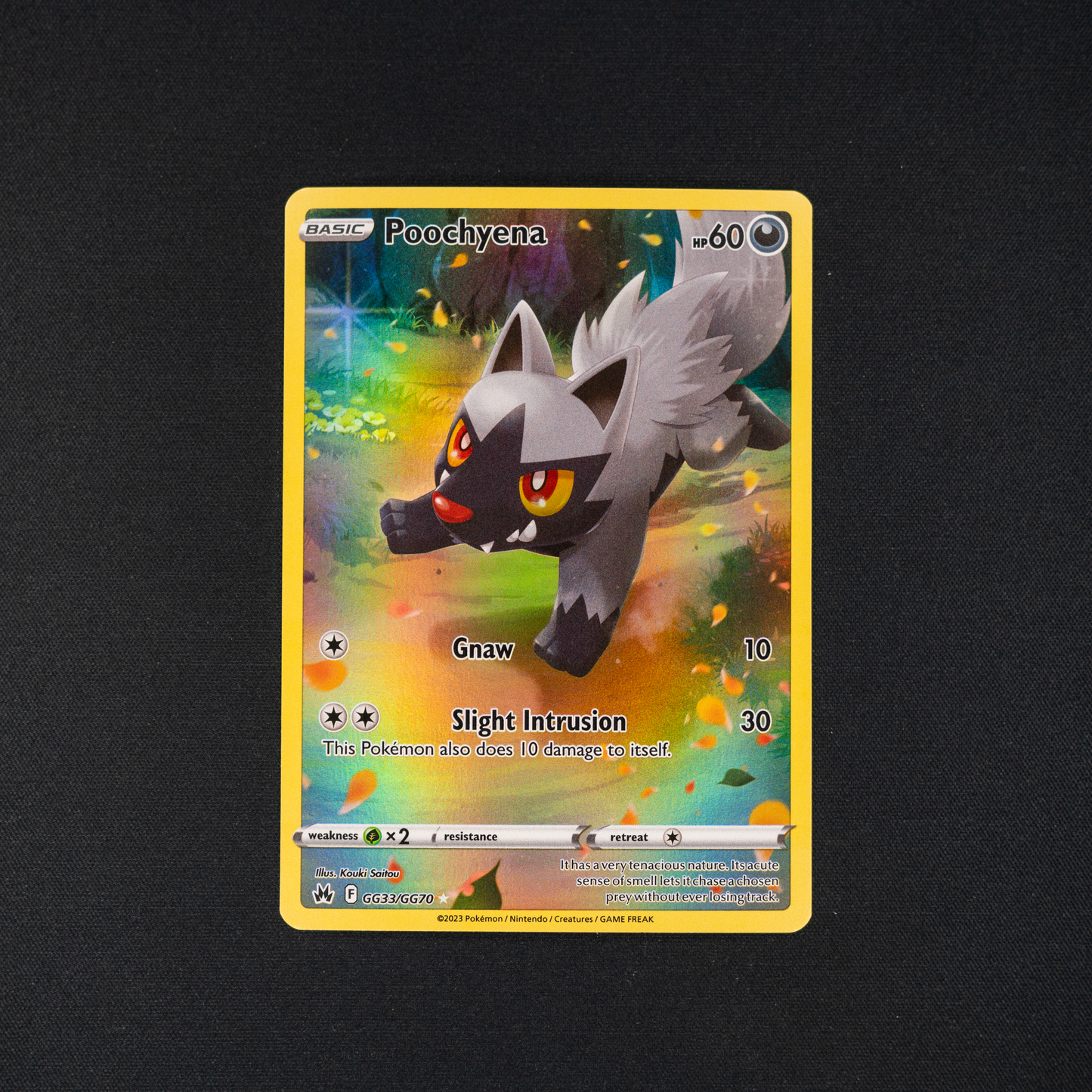 Poochyena - Crown Zenith: Galarian Gallery (CRZ:GG)