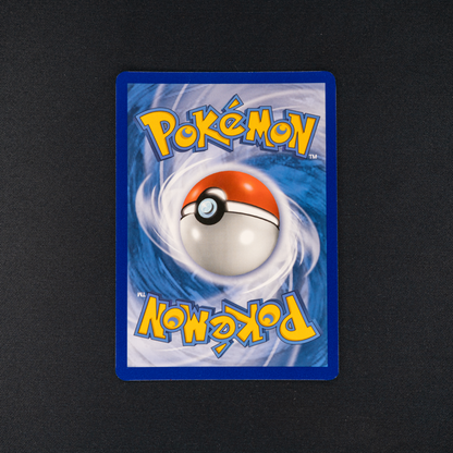 Salamence VMAX - SWSH03: Darkness Ablaze (SWSH03)