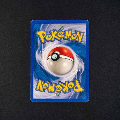 Snubbull - Neo Revelation (N3)