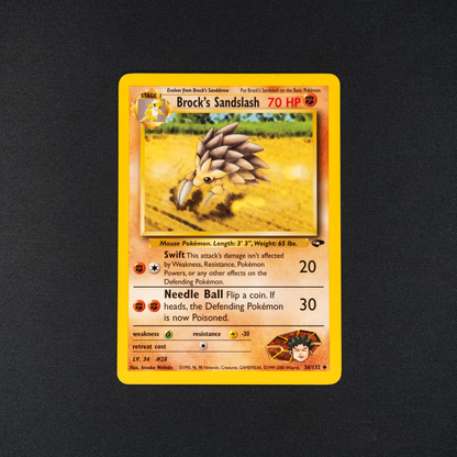 Brock's Sandslash - Gym Challenge (G2)
