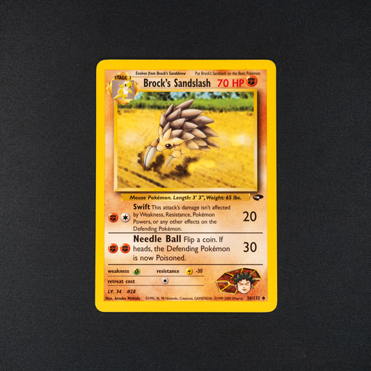 Brock's Sandslash - Gym Challenge (G2)