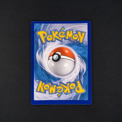 Cyndaquil - SWSH221 - SWSH: Sword & Shield Promo Cards (SWSD)