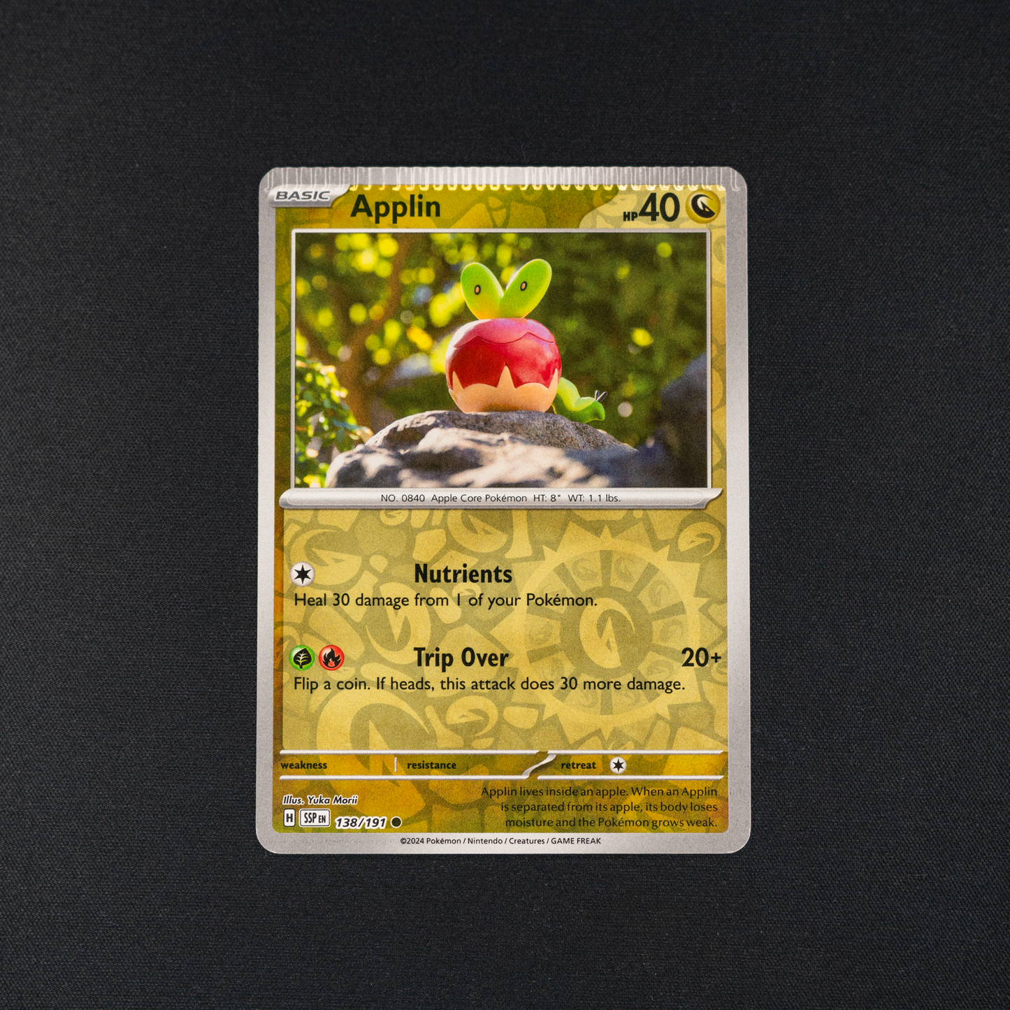 Applin - SV08: Surging Sparks (SV08)(Crimp Error)