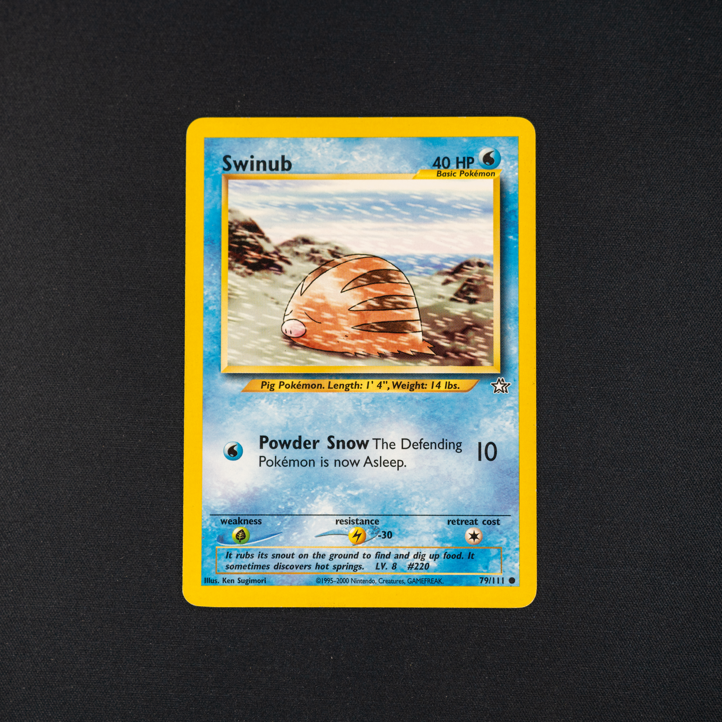 Swinub - Neo Genesis (N1)