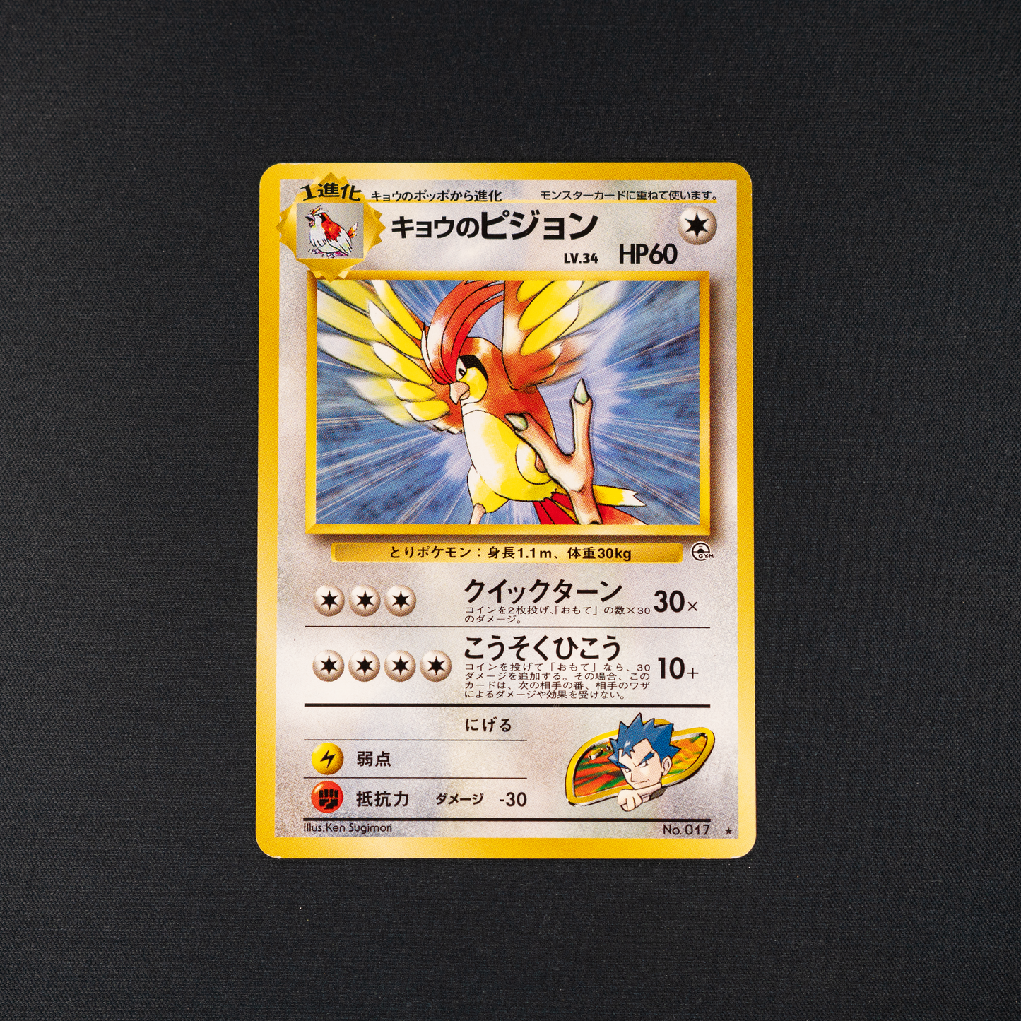 Koga's Pidgeotto - Challenge from the Darkness