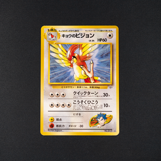 Koga's Pidgeotto - Challenge from the Darkness