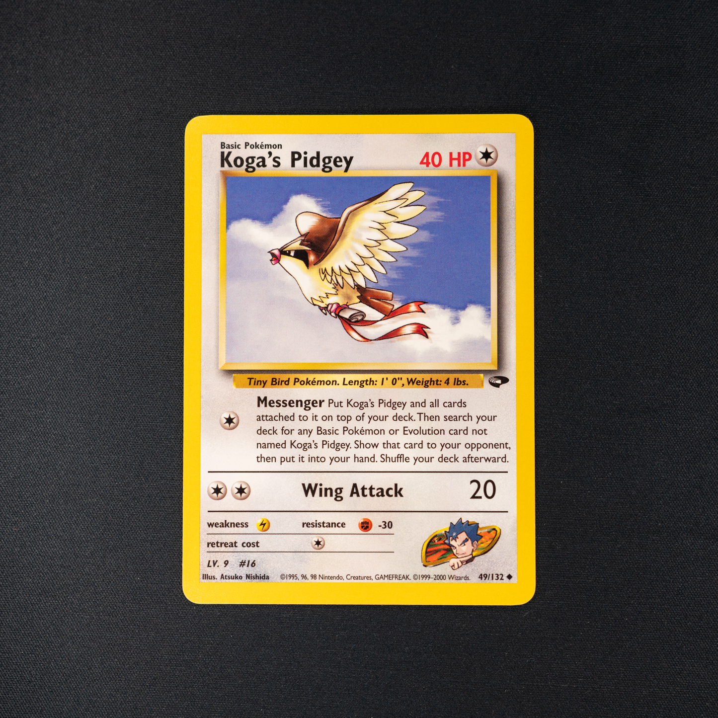 Koga's Pidgey (49) - Gym Challenge (G2)