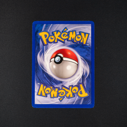 Mr. Fuji - Fossil (FO)