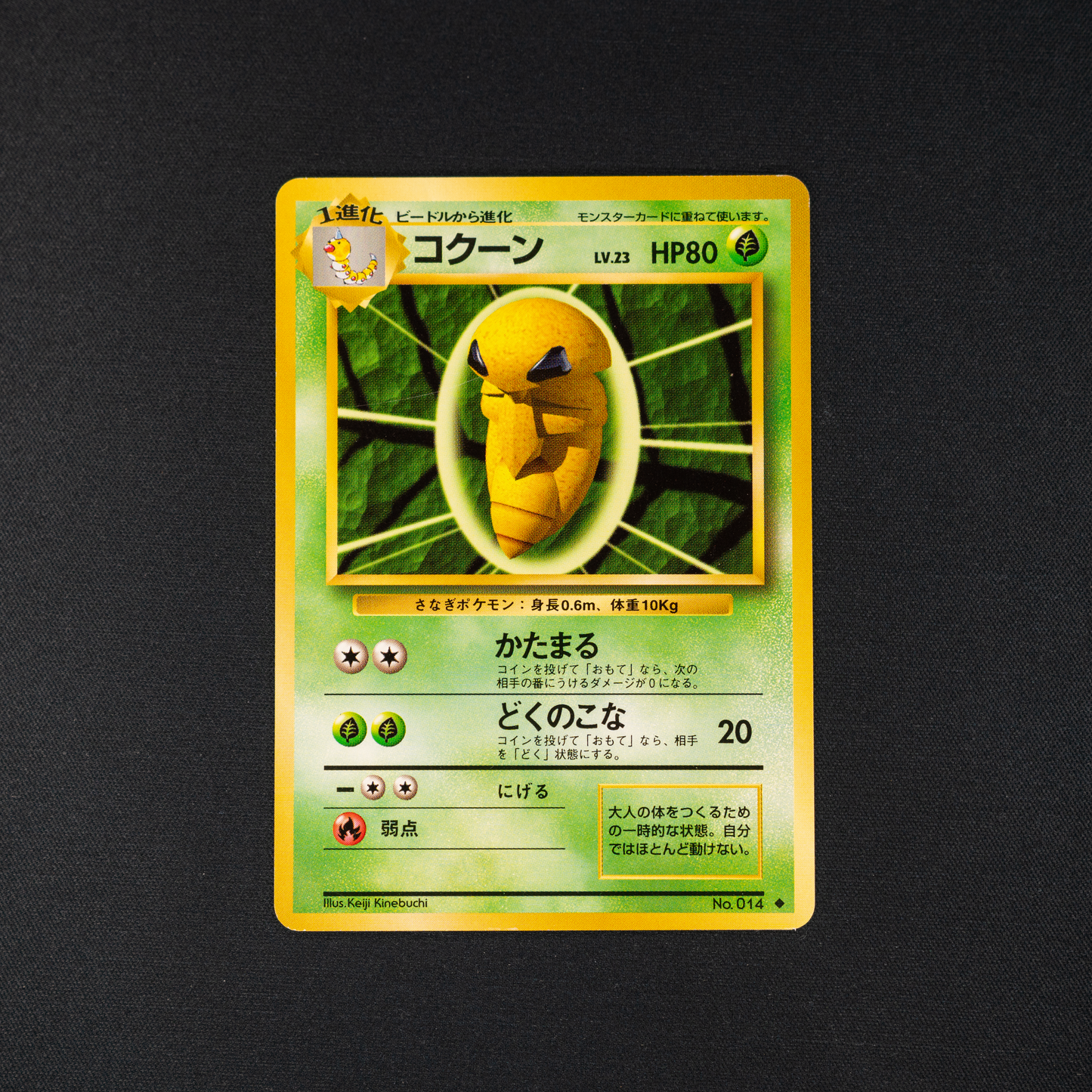 Kakuna - Expansion Pack