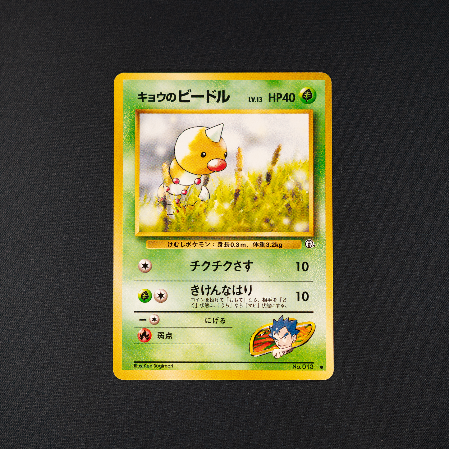 Koga's Weedle - Challenge from the Darkness