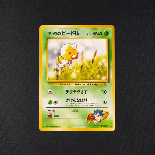 Koga's Weedle - Challenge from the Darkness