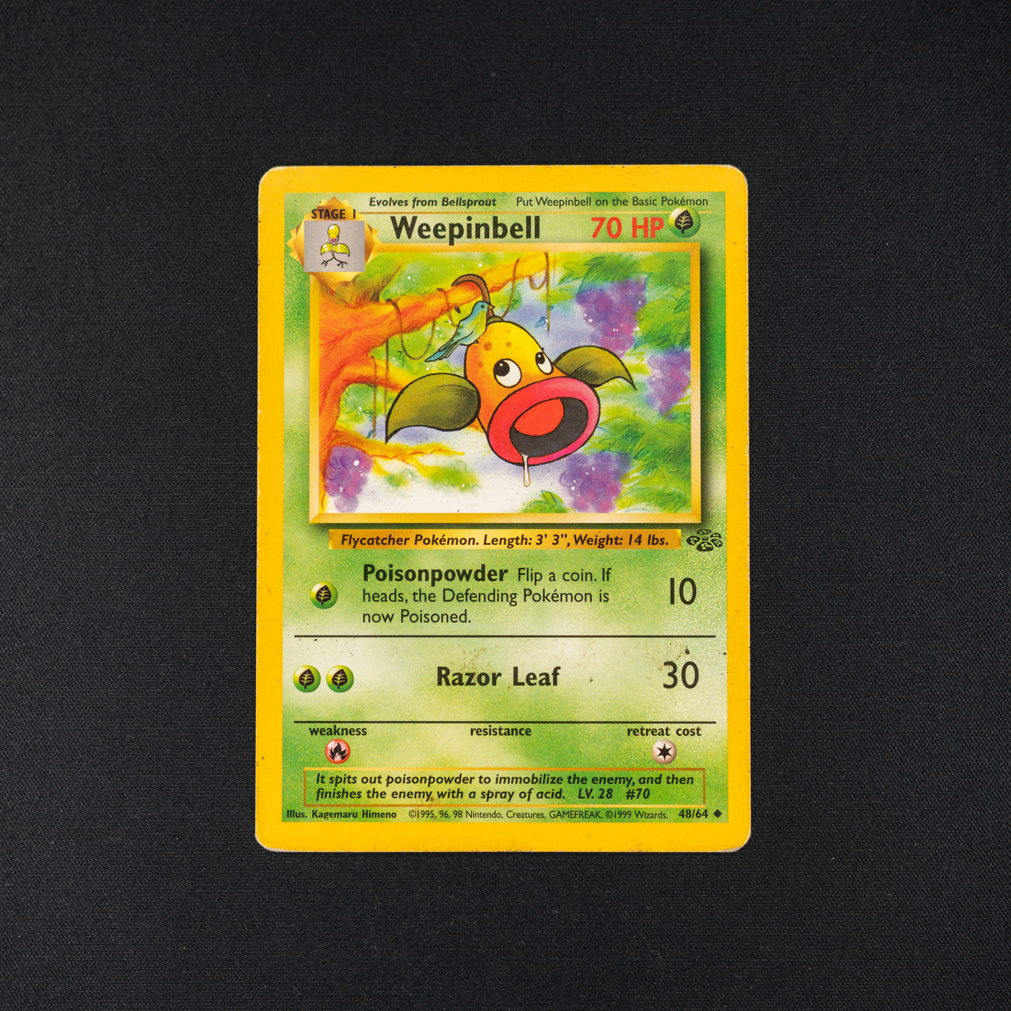 Weepinbell - Jungle (JU)