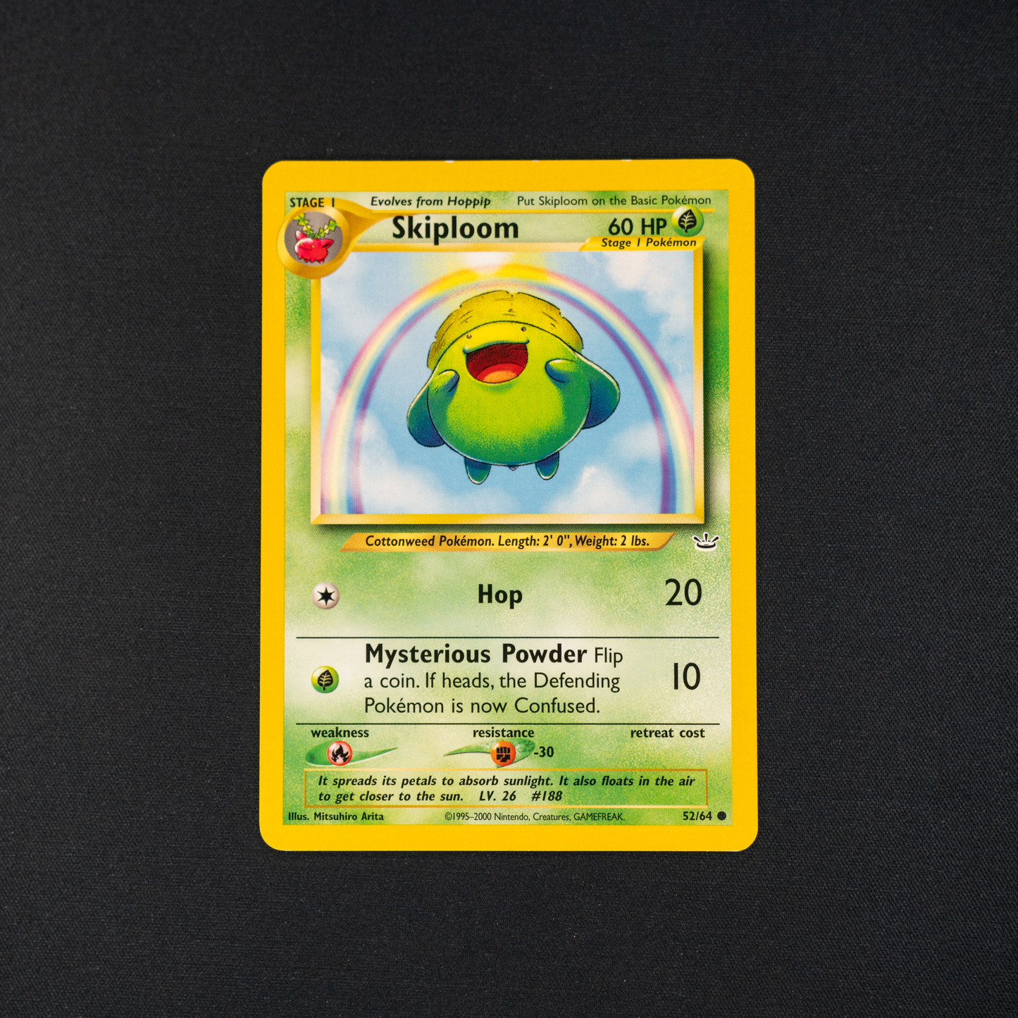 Skiploom - Neo Revelation (N3)