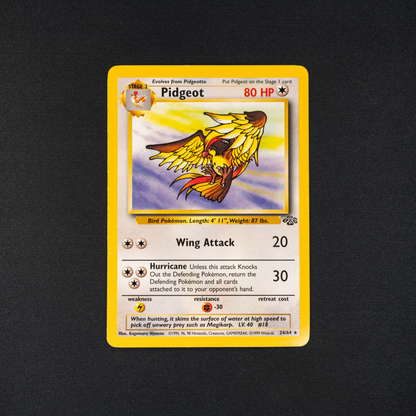 Pidgeot (24) - Jungle (JU)
