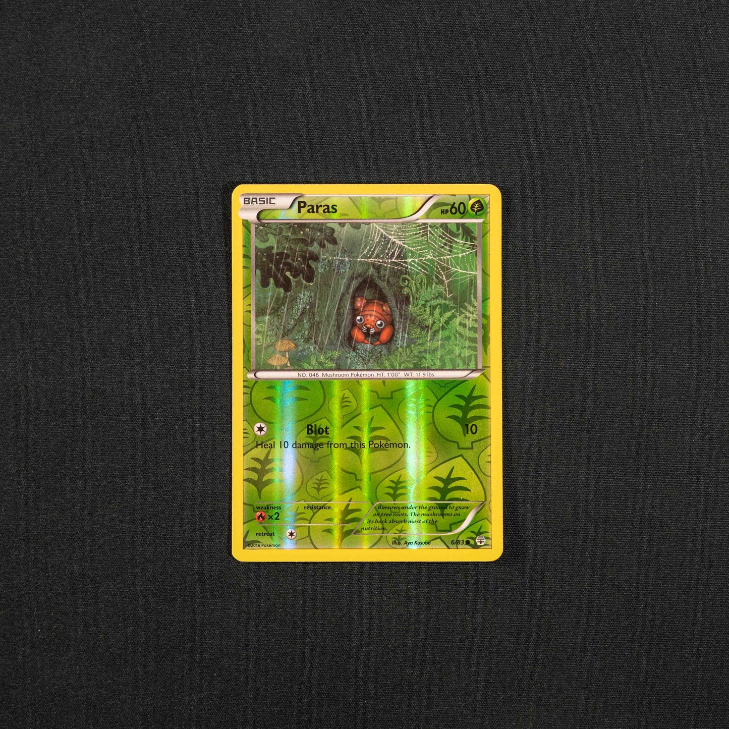 Paras - Generations (GEN)