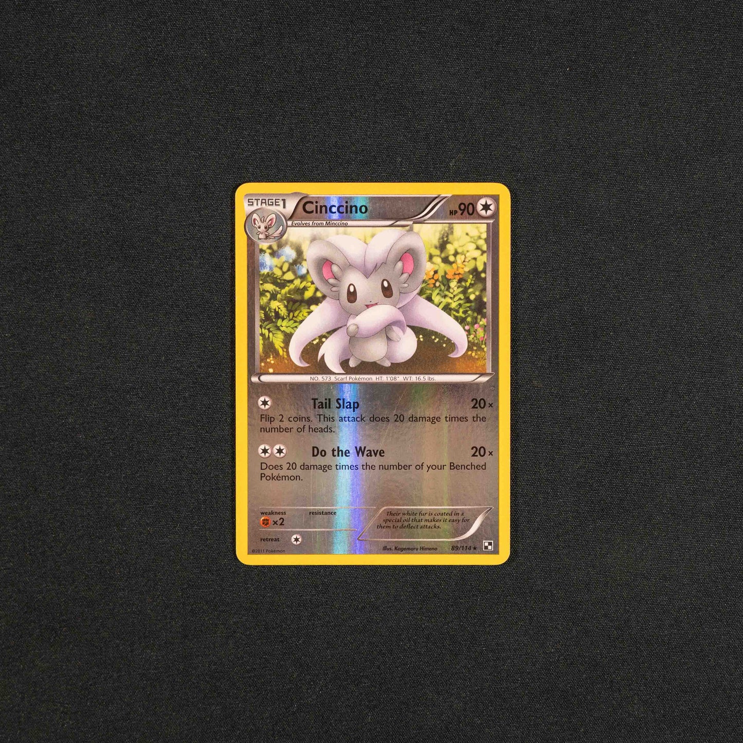 Cinccino - Black and White (BLW)